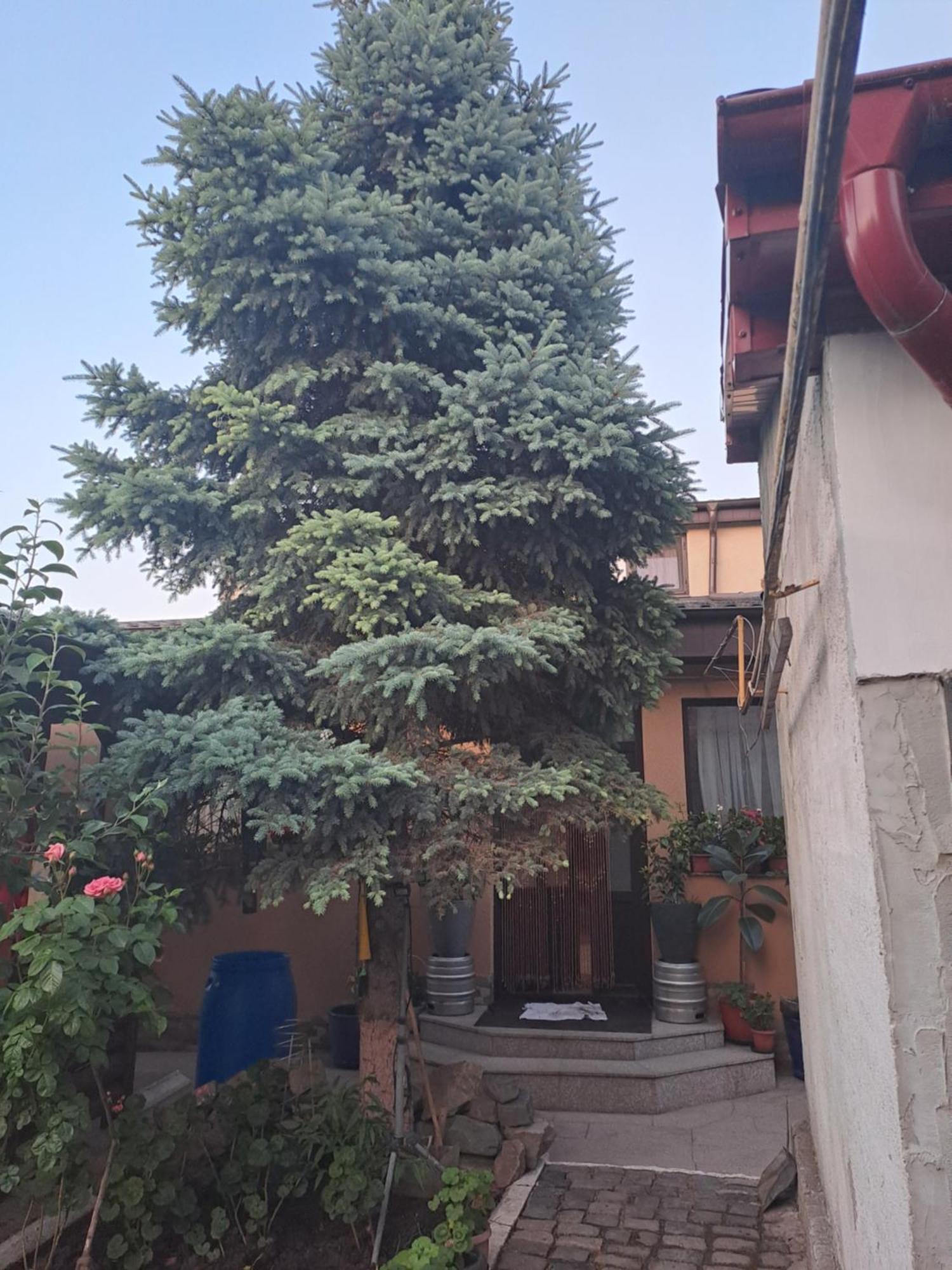 Casa Rusu Apartman Galac Kültér fotó