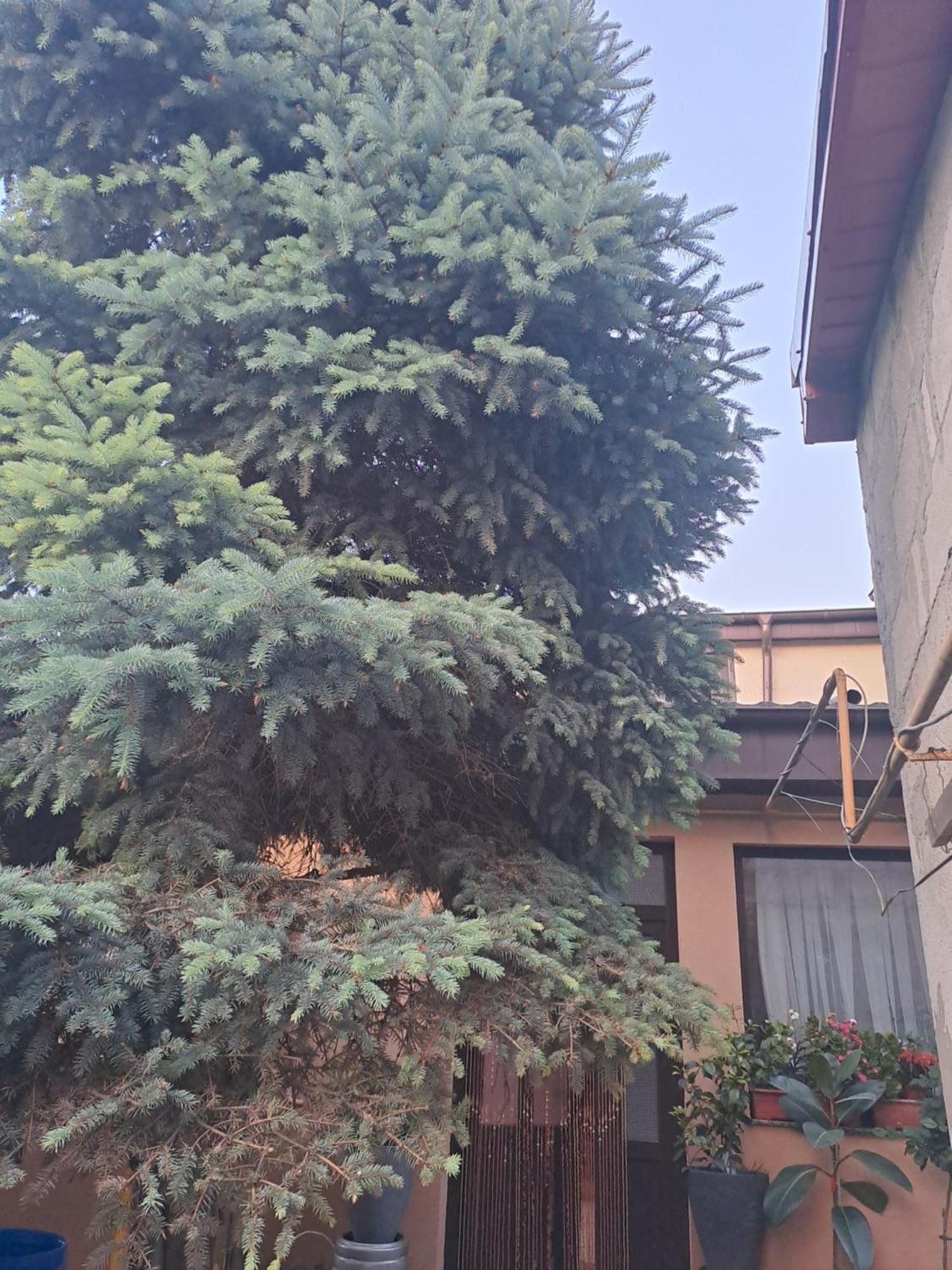 Casa Rusu Apartman Galac Kültér fotó